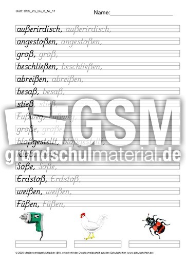 DSS_2S_Bu_ß_Nr_11.pdf